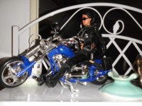 Jane Yellowrock Doll in her new home. (Thanks to Judy and Melanie!)
